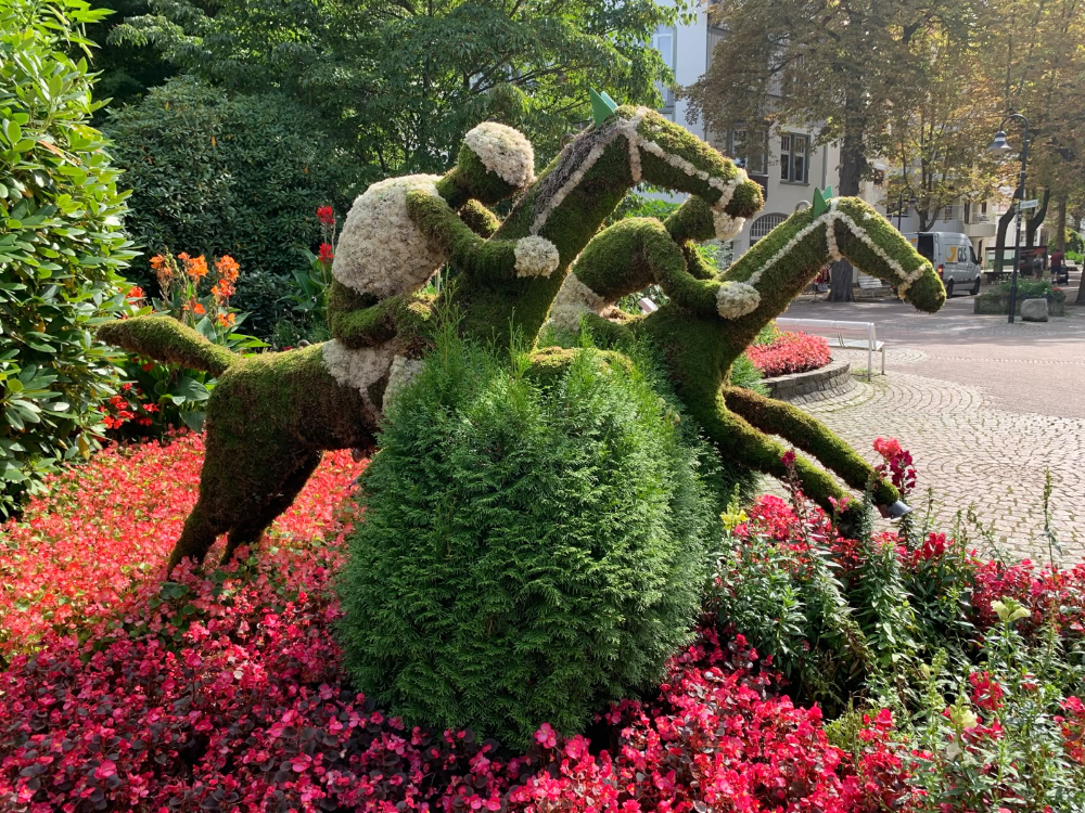 Bad Harzburg: health resort, nature and history on the edge of the Harz