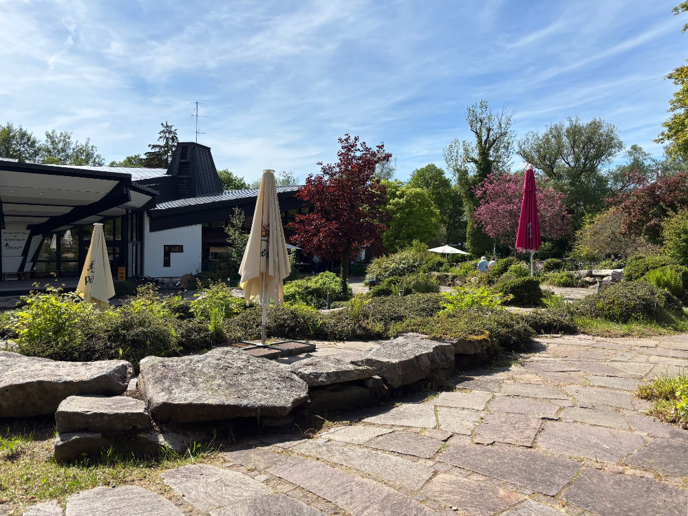 Kurpark Braunlage